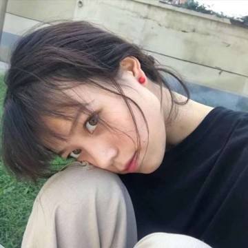 蒸汽火车模拟器免费版下载