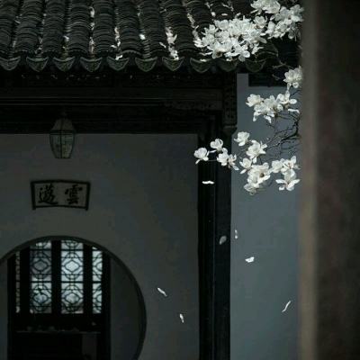 宝马遨游中国手游下载