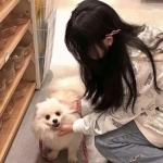 武林闲侠红包版下载